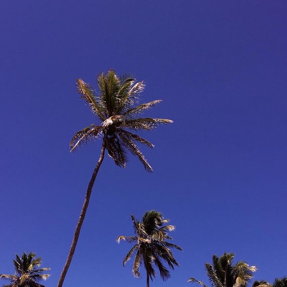 Meet your Posher, Gracie - Picture 1 of 2